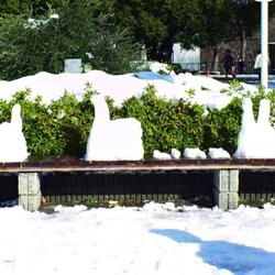雪-i