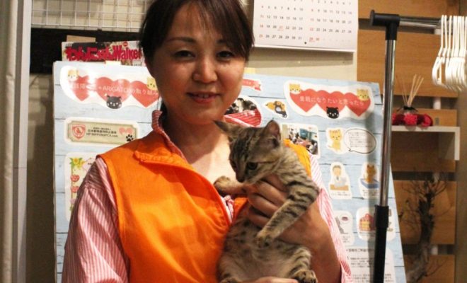 命を救う猫カフェ 日本の動物愛護の現状を考える