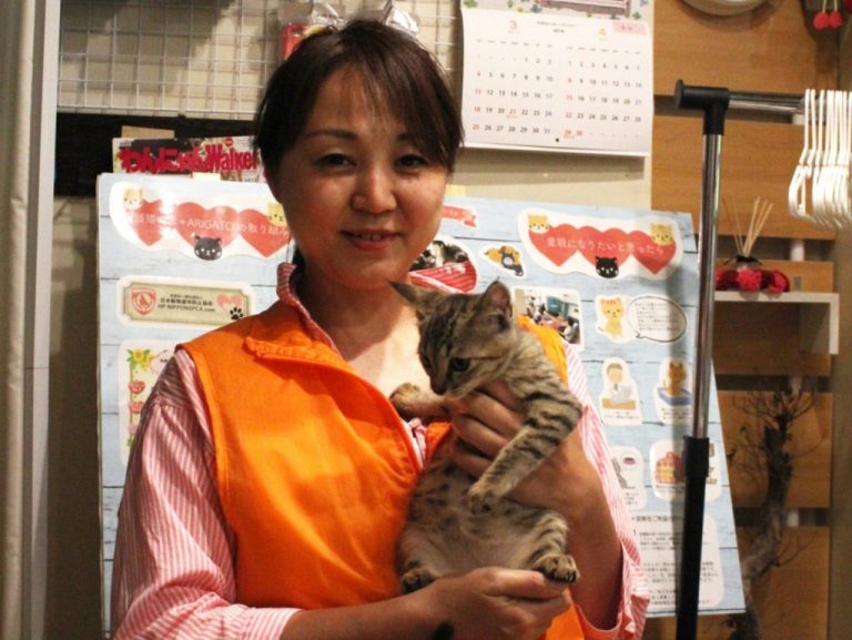 命を救う猫カフェ　日本の動物愛護の現状を考える