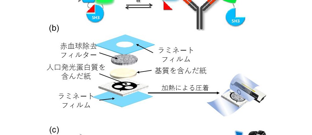 感染症の抗体を紙製チップで検査可能に　理工学部が開発