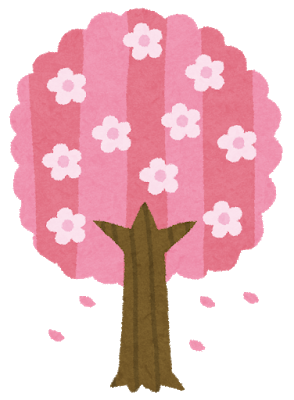 インデックス　桜の木
