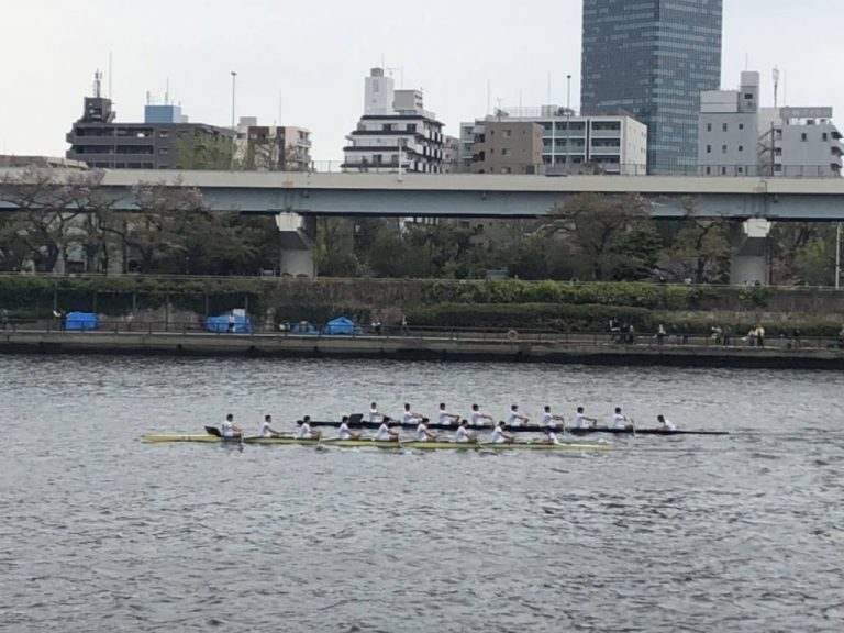 早慶レガッタ 2019 Web