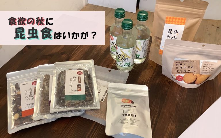 昆虫食サムネ