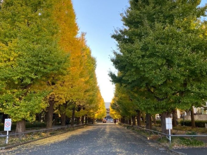 iOS の画像 (5)