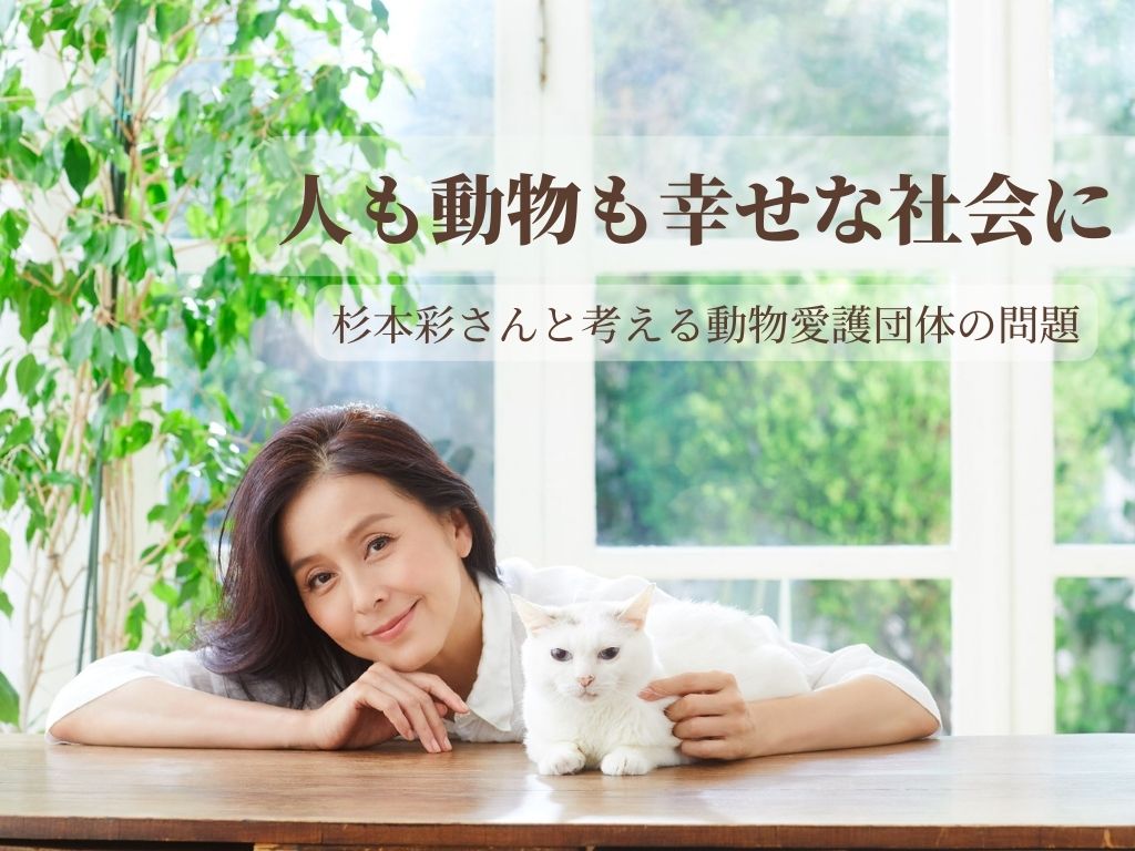 杉本彩さんと考える動物愛護団体の問題